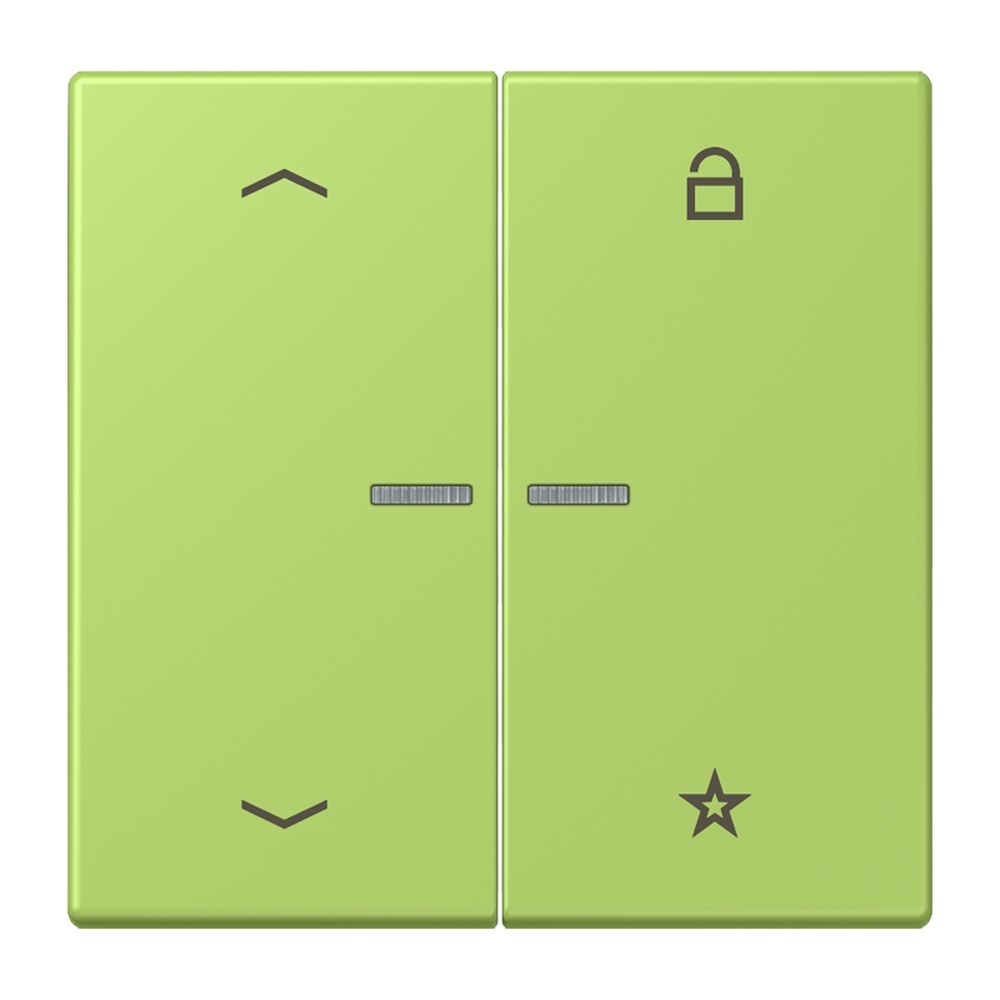 Jung Taster FMLC1701P221