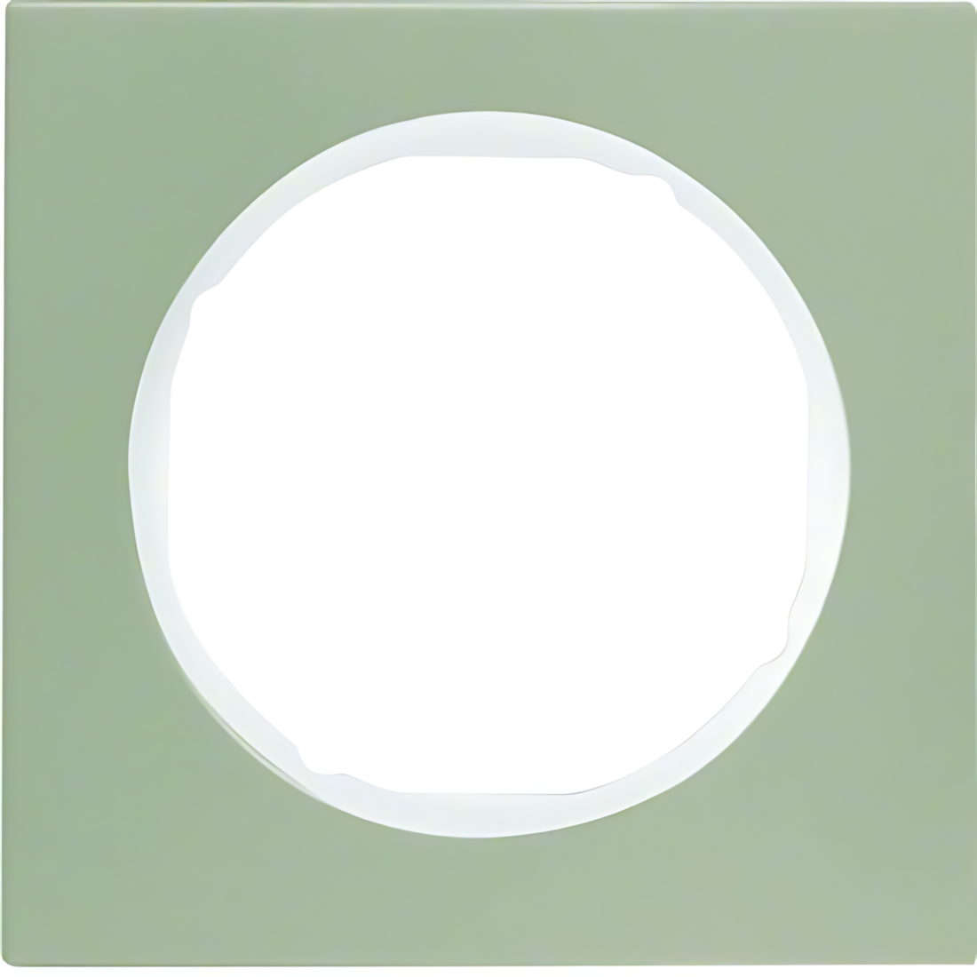 Berker 1fach Rahmen 10112214