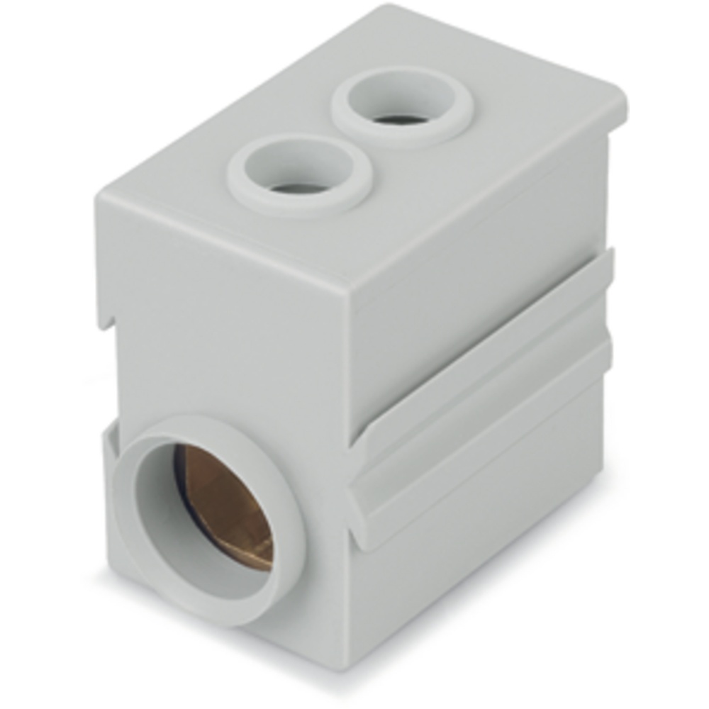 Wago Einspeisemodul 811-471