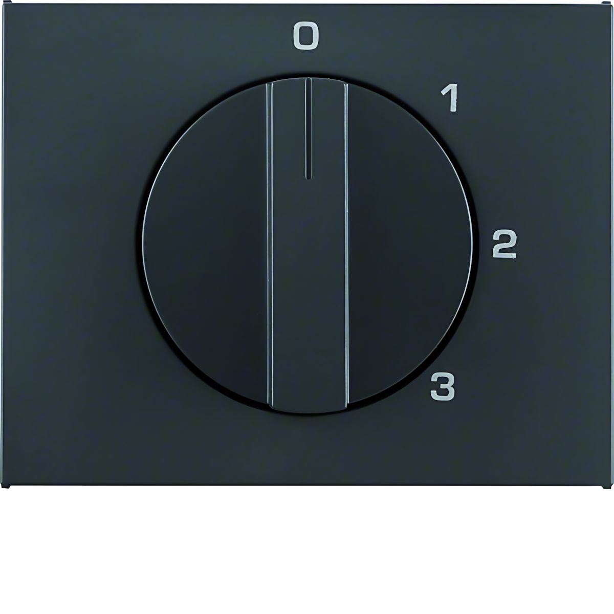 Berker Zentralstück m. Drehknopf 1087710600