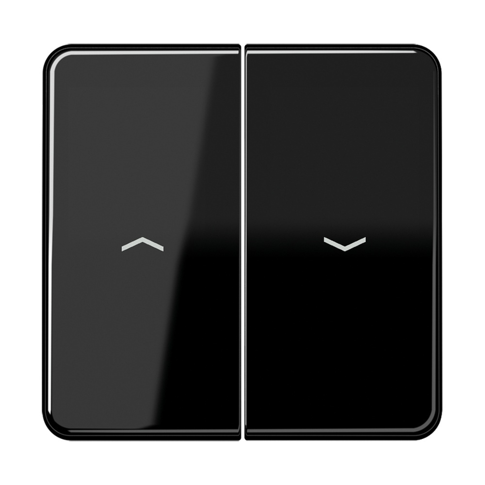 Jung Wippe CD 595 P SW