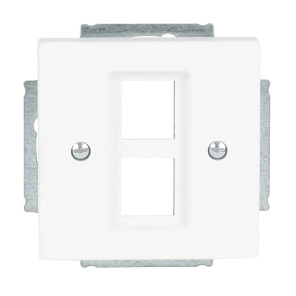 Busch-Jaeger Zentralscheibe 2561-02-884 Nr. 2CKA001753A0396