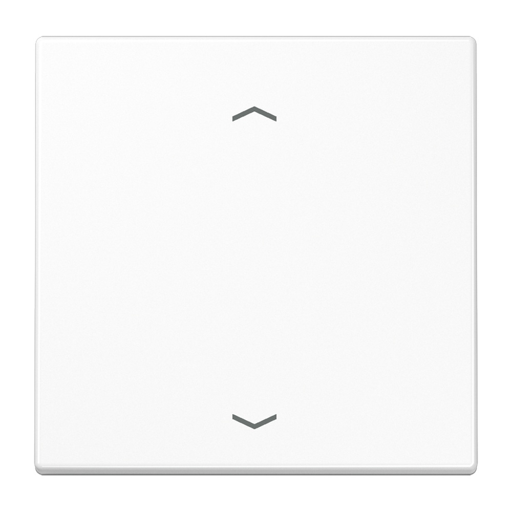 Jung EnOcean Funk Wandsender ENO LS 990 P WW