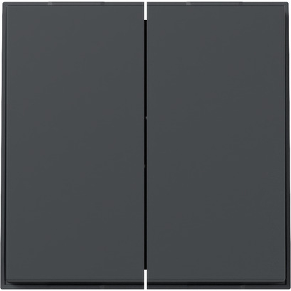 Gira Wippe 2fach 349567