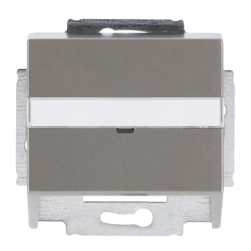 Busch-Jaeger Zentralscheibe 1758-866 Nr. 2CKA001724A4272