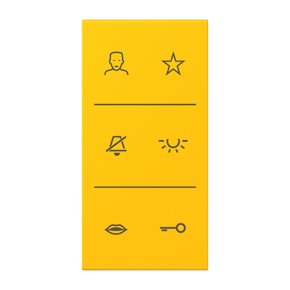 Jung Design Cover Video SIV6LCDC263