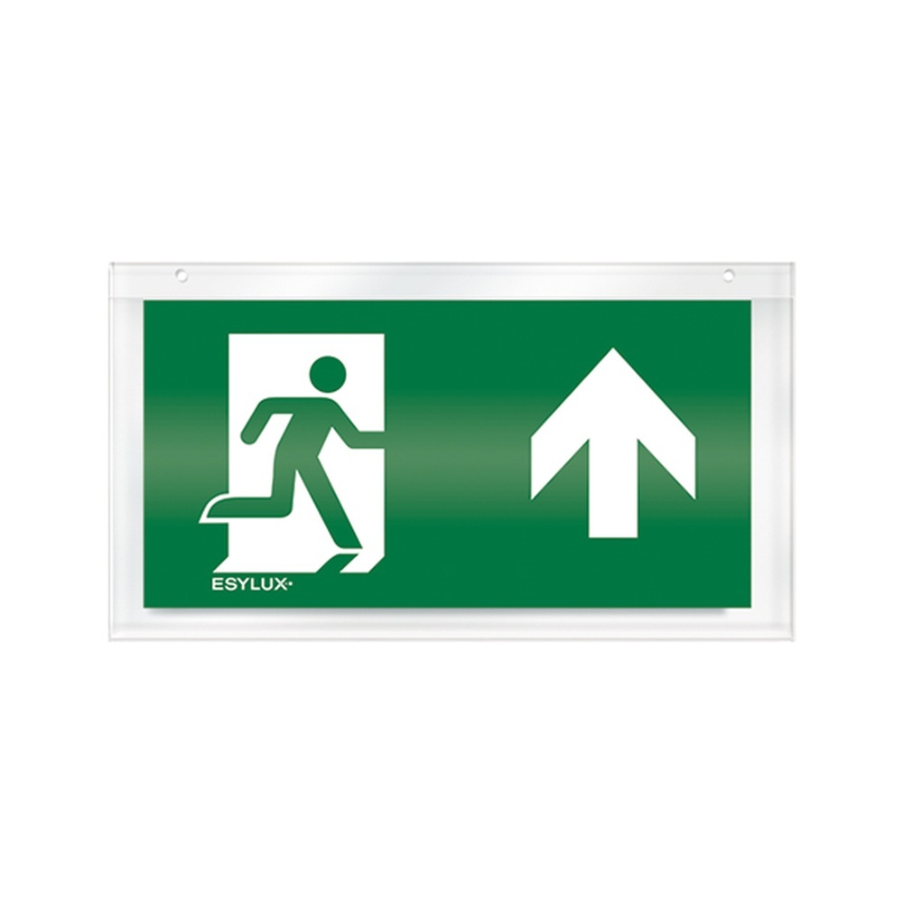 ESYLUX Piktogrammscheibe EN10032547 Typ Piktogramm-Scheibe 24 einseitig oben