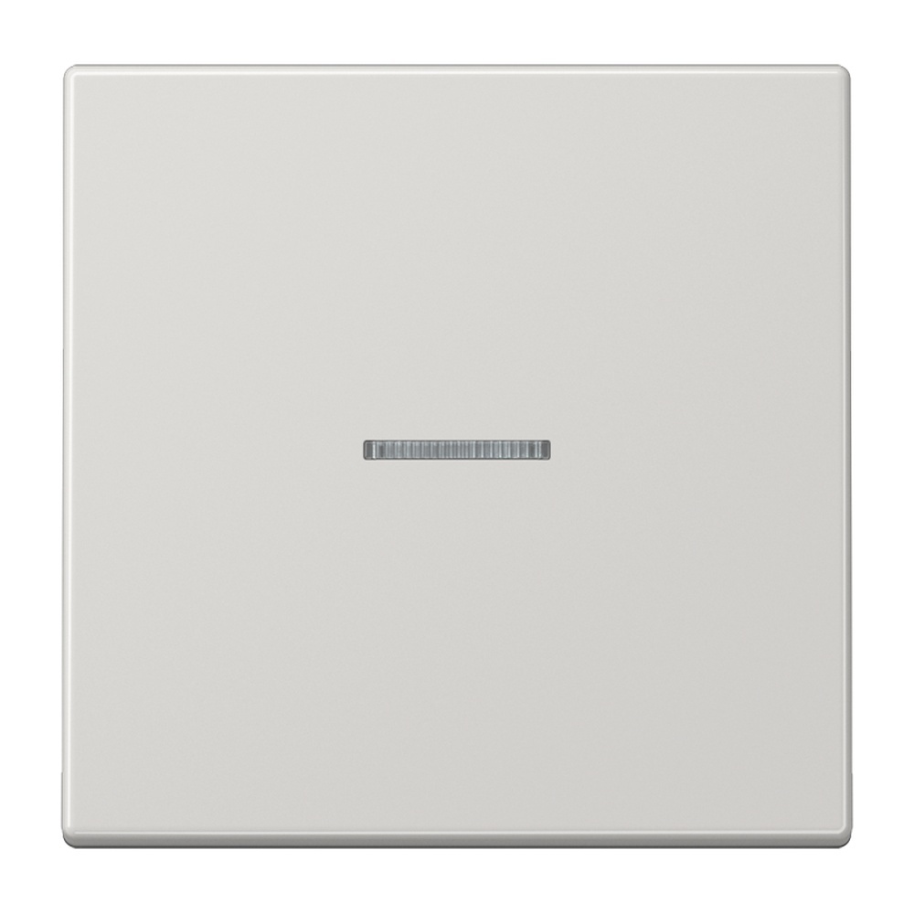 Jung Funk Steuertaste Standard FMLS1700LG