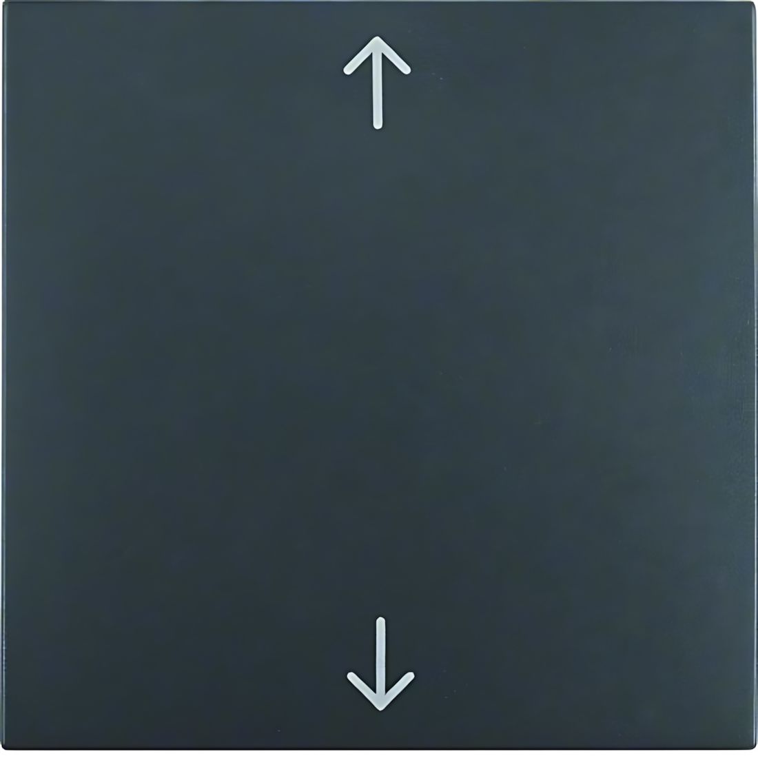 Berker Wippe 16201616