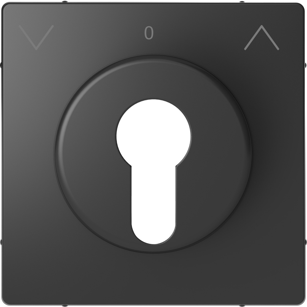 Merten Zentralplatte MEG3883-6034