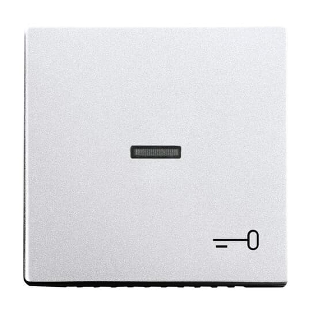 Busch-Jaeger Wippe 1789 TR-83 Nr. 2CKA001751A2953