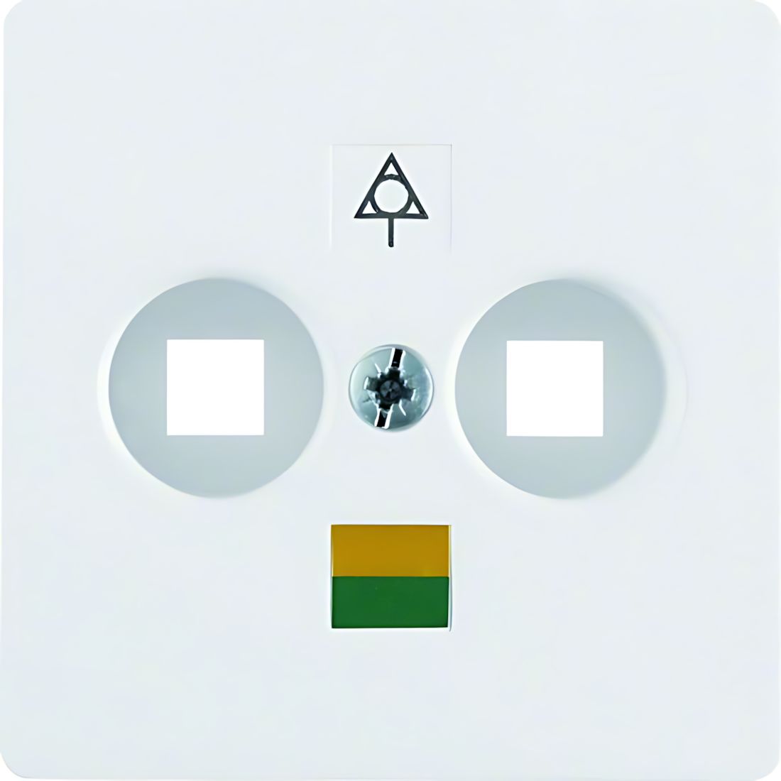 Berker Zentralplatte 14031909