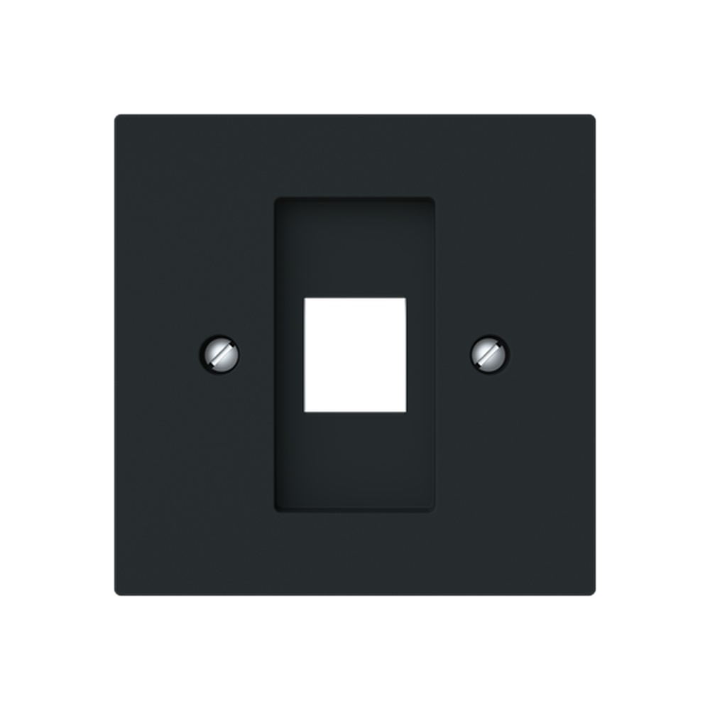 Busch-Jäger Zentralscheibe 2561-45M Nr. 2CKA001753A9925