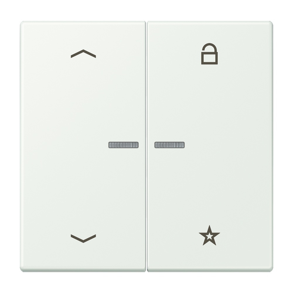 Jung Taster FMLC1701P210