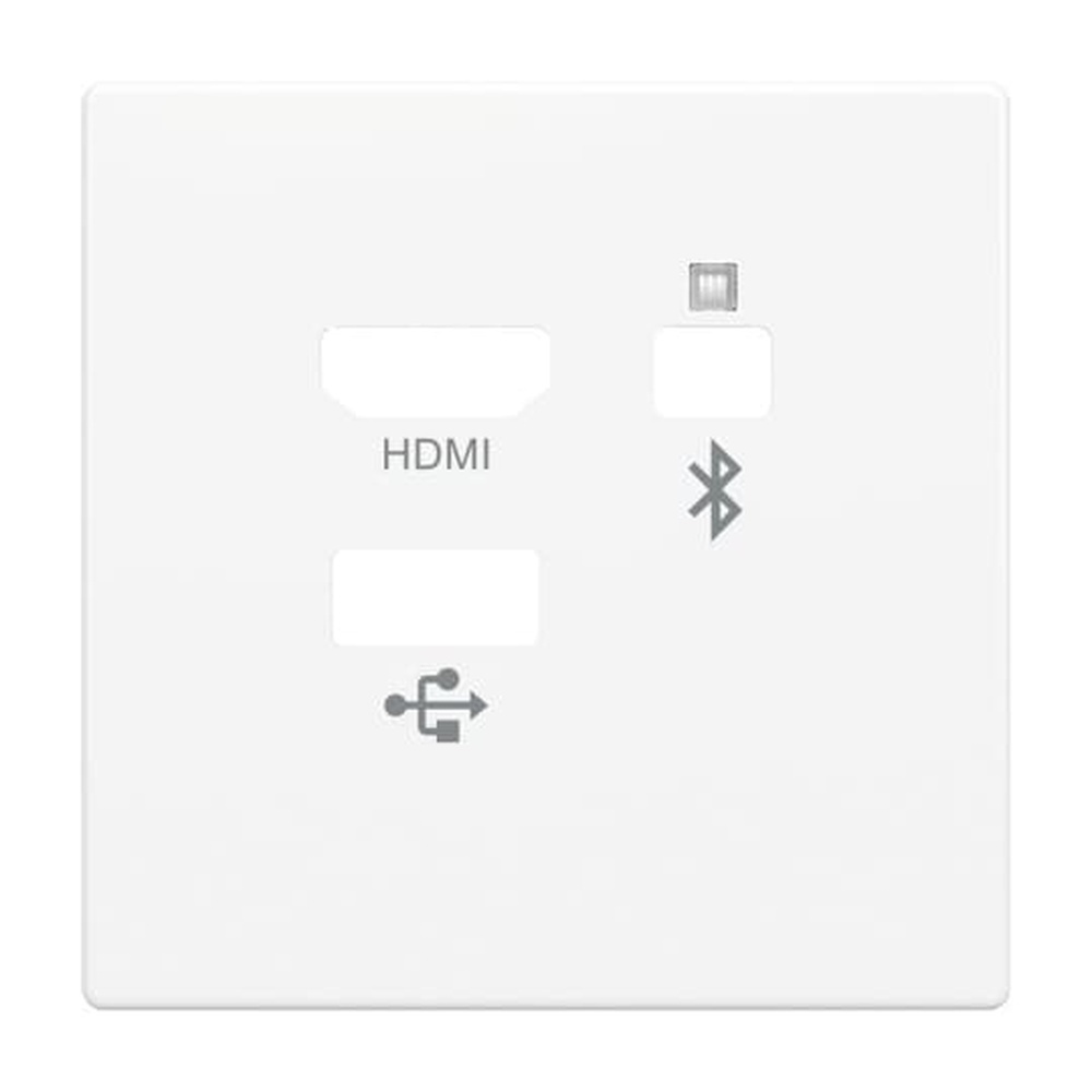 Busch-Jaeger Zentralscheibe 8256-84 Typ 2CKA008200A0224