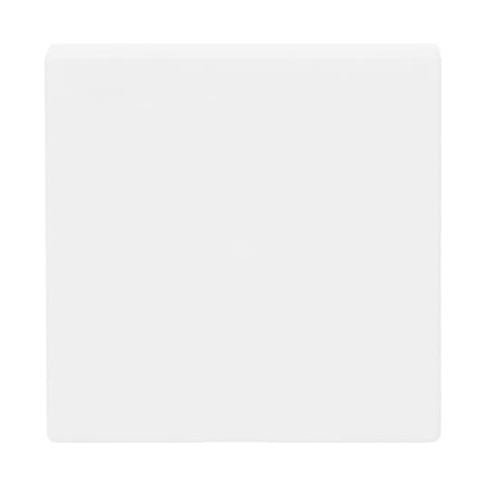 Busch-Jaeger Wippe 6230-10-884 Nr. 2CKA006220A0481