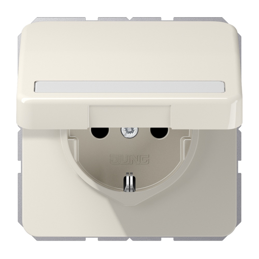 Jung Schutzkontakt Steckdose CD 1520 BFNAKL