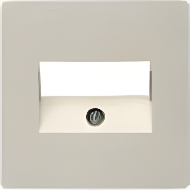 Berker 146702 Zentralplatte