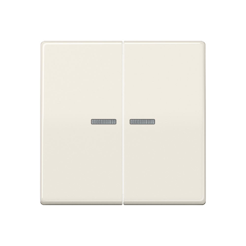 Jung Wippe AS 591-5 KO5BF