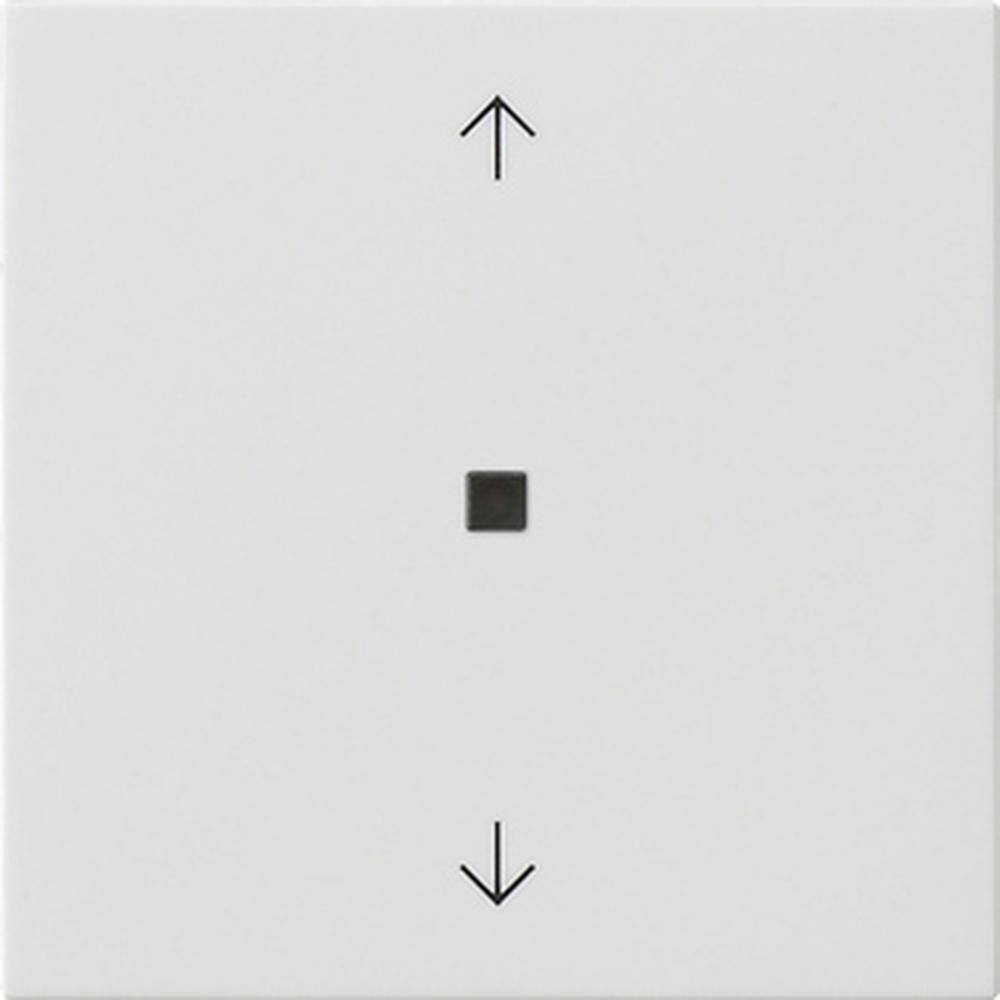 Gira eNet Funk Bedienaufsatz 549403