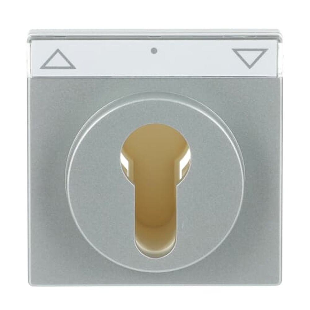 Busch-Jaeger Zentralscheibe 1755 SL/PZ-83-101 Nr. 2CKA001710A3662