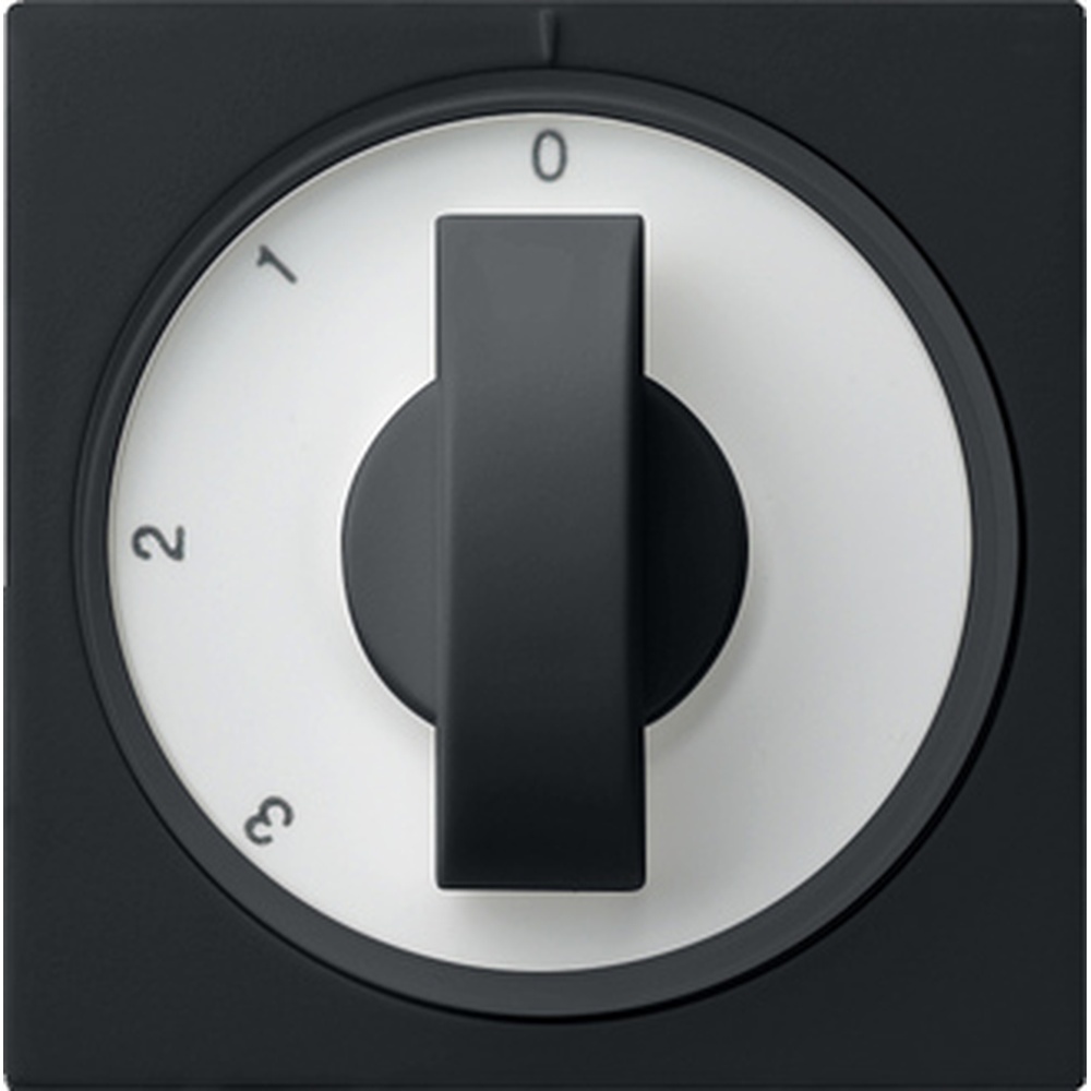 Gira Abdeckung 0669005