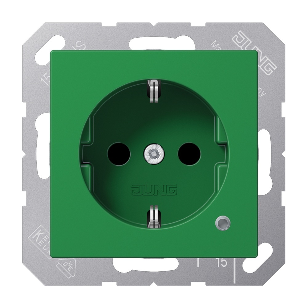 Jung Schutzkontakt Steckdose A 1520 BF KO GN