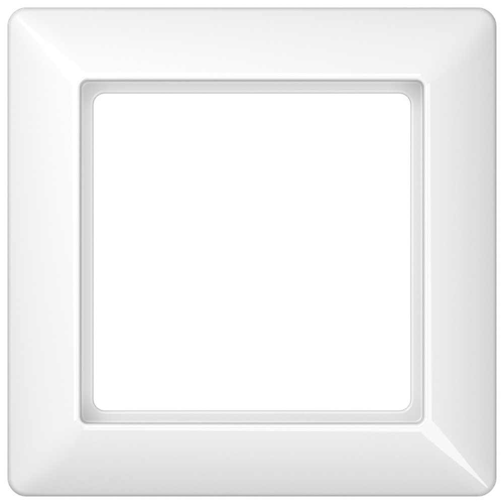 Jung Rahmen 1fach AS 581 BF WW