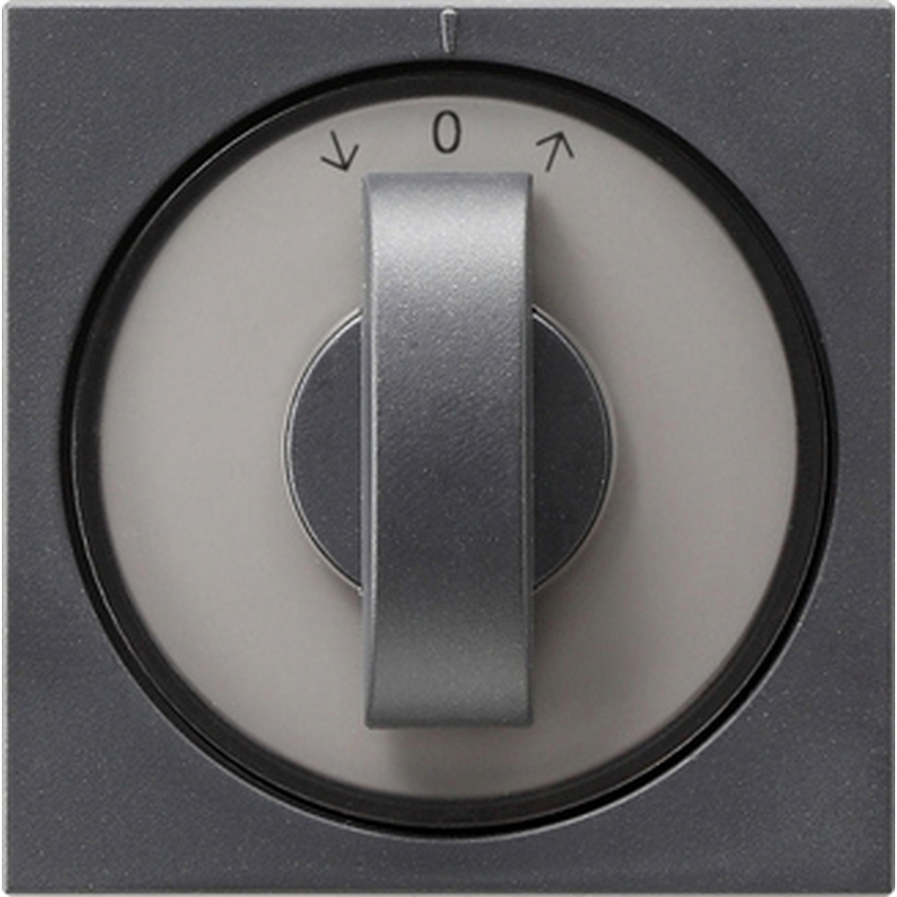 Gira Abdeckung Knebel 066628