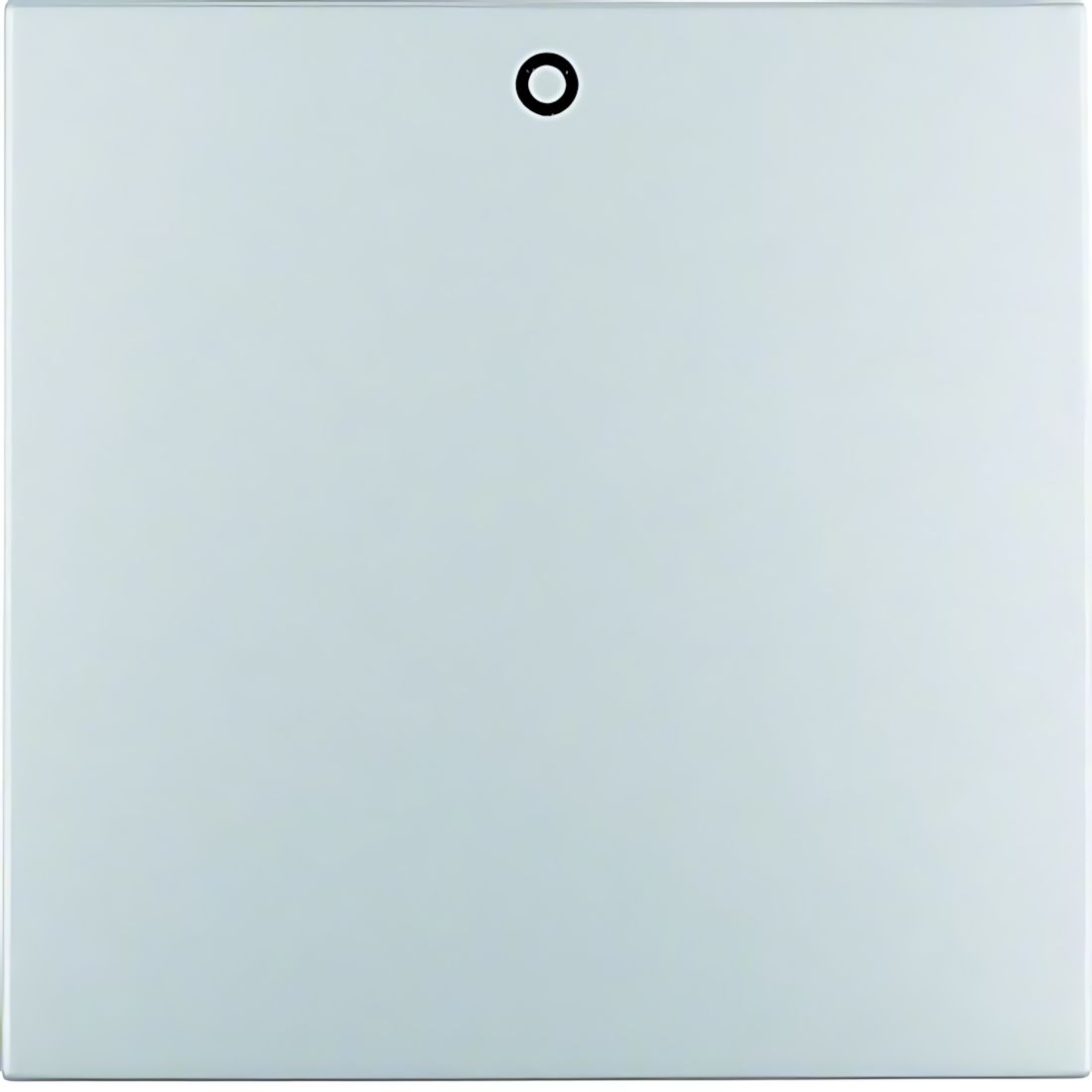 Berker Wippe 16221404