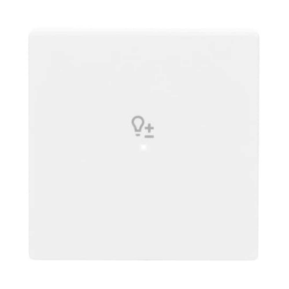 Busch-Jaeger Wippe 6234-10-84 Nr. 2CKA006220A0046