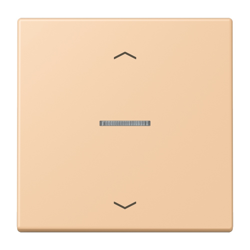 Jung Wippe mit Lichtleiter LC101KO5P237