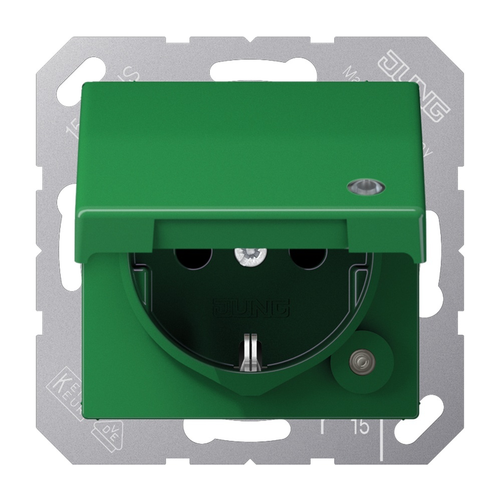 Jung Schutzkontakt Steckdose AS 1520 BFKLKO GN