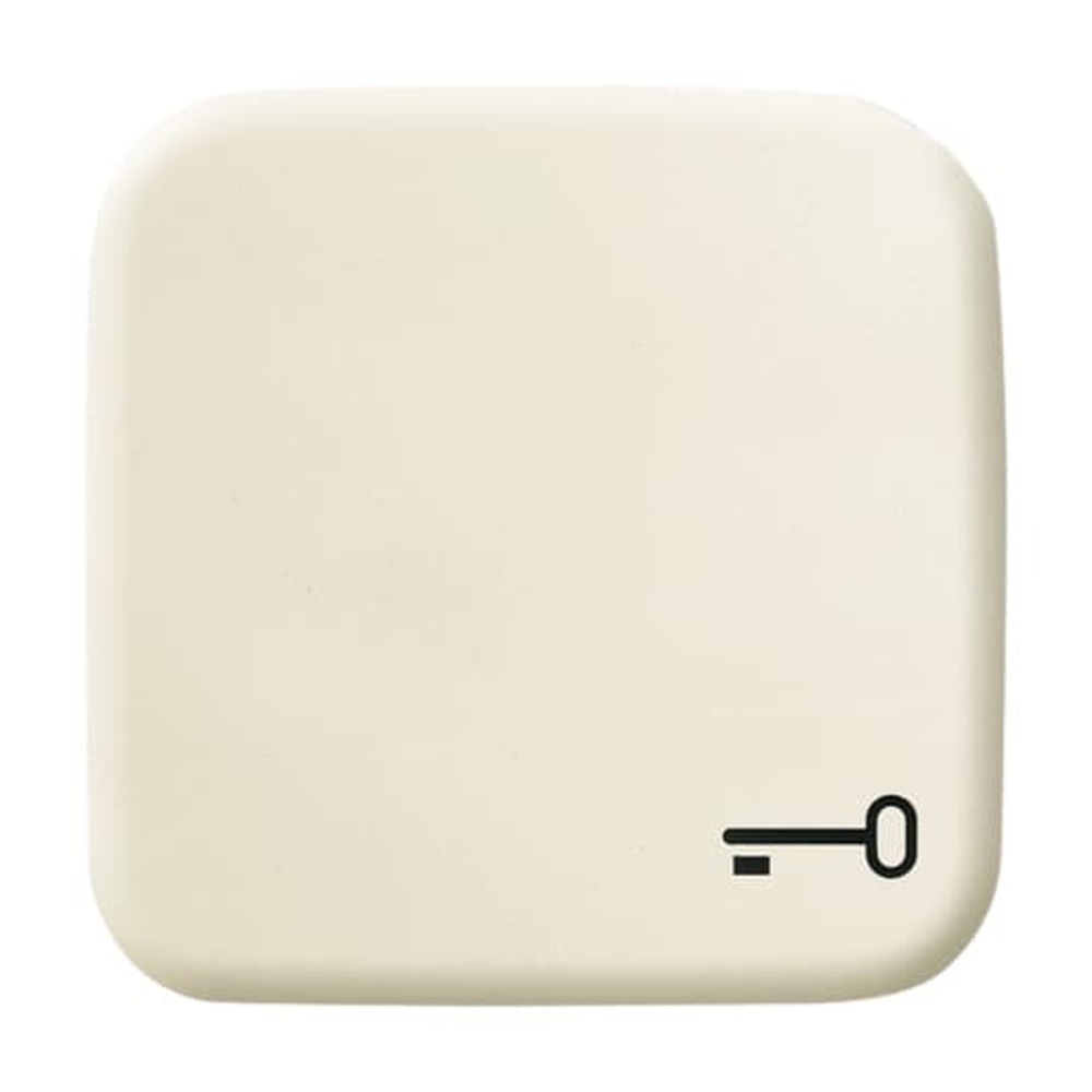 Busch-Jaeger Wippe 2520 TR-212 Nr. 2CKA001731A0298