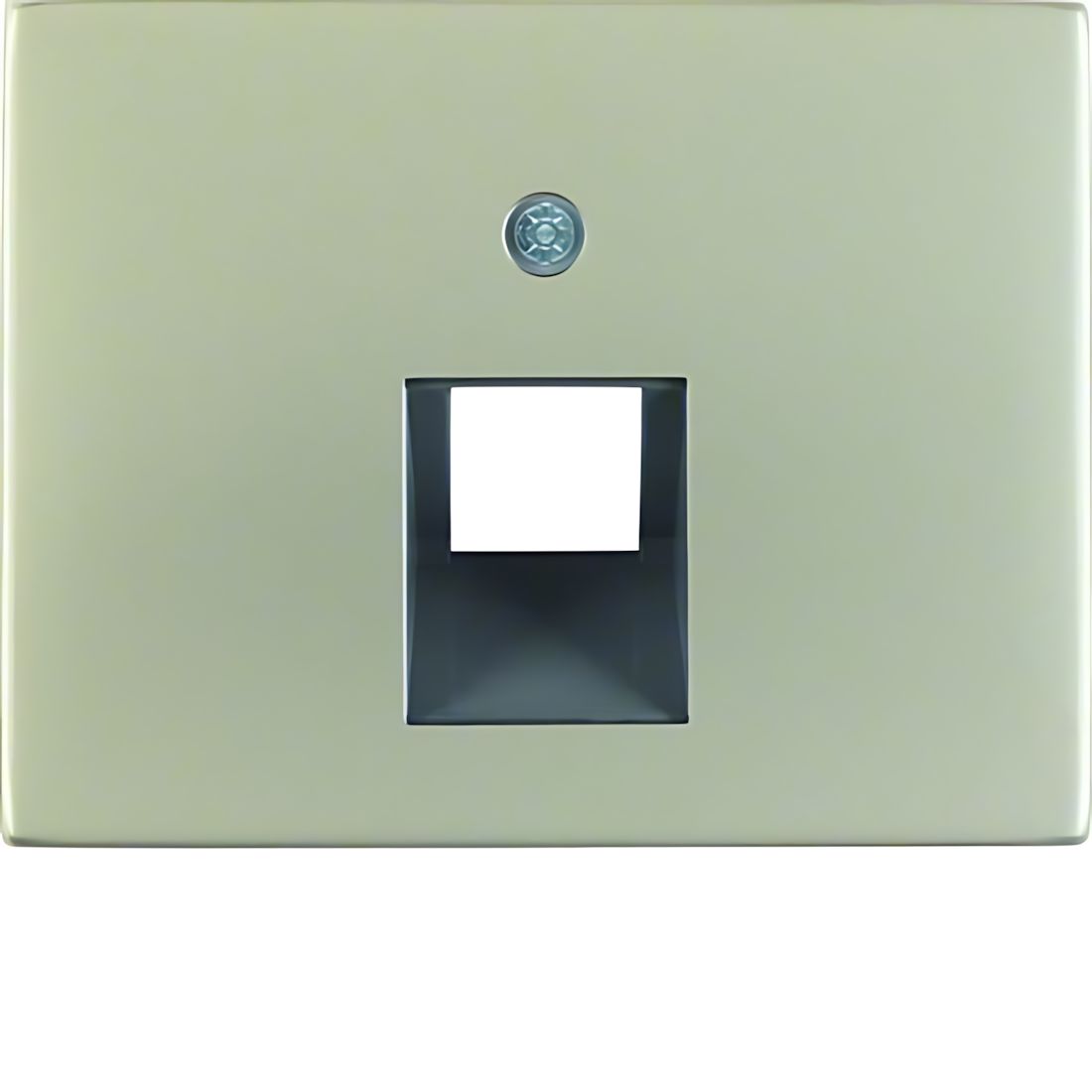 Berker Zentralstück 14077004