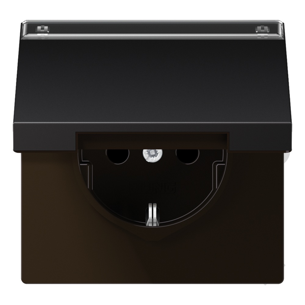 Jung Schutzkontakt Steckdose AL 1520 NAKL D