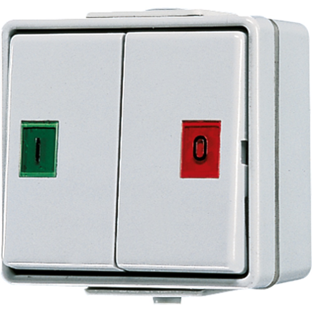 Jung Doppel Taster 639 W