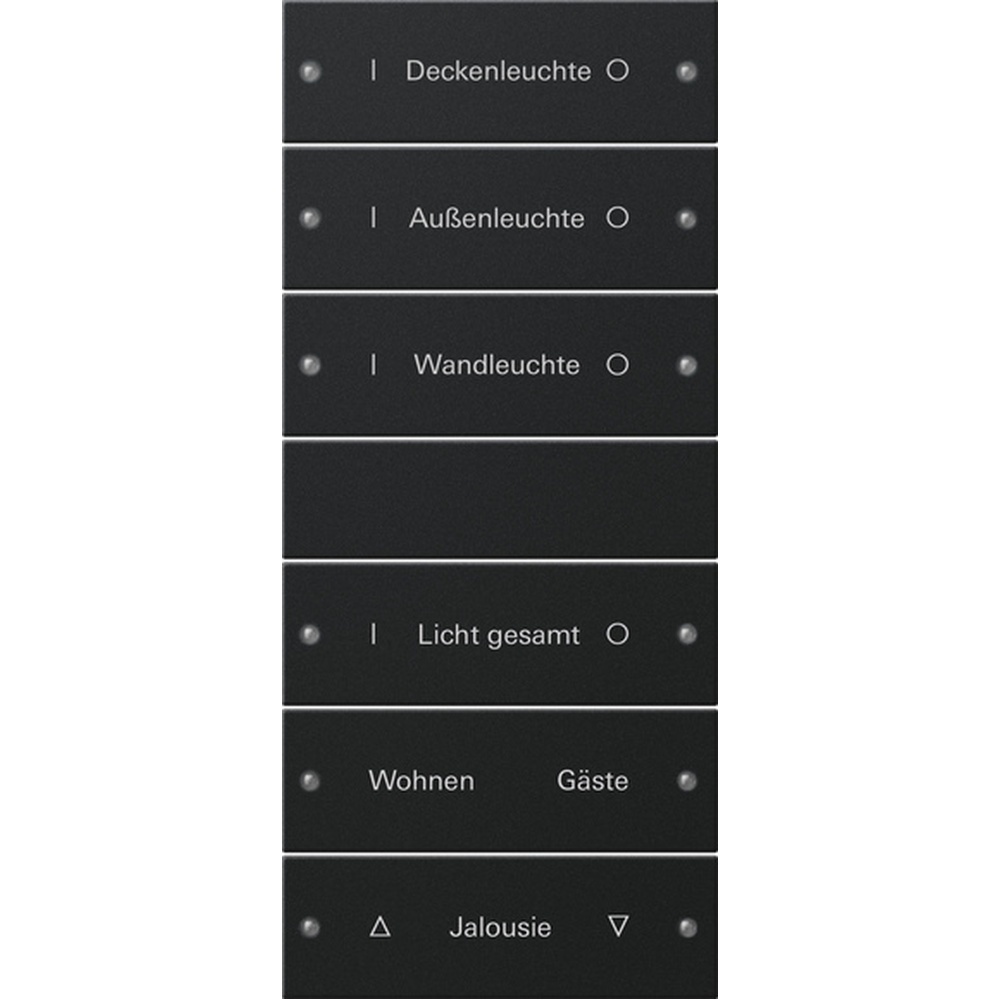 Gira Wippenset 2206005