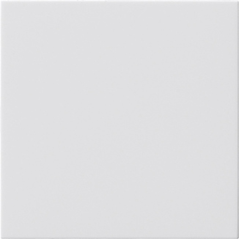 Gira Blindabdeckung 810803