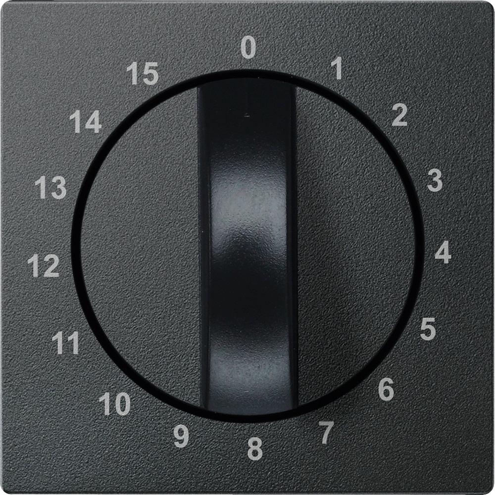 Merten Zentralplatte 539014