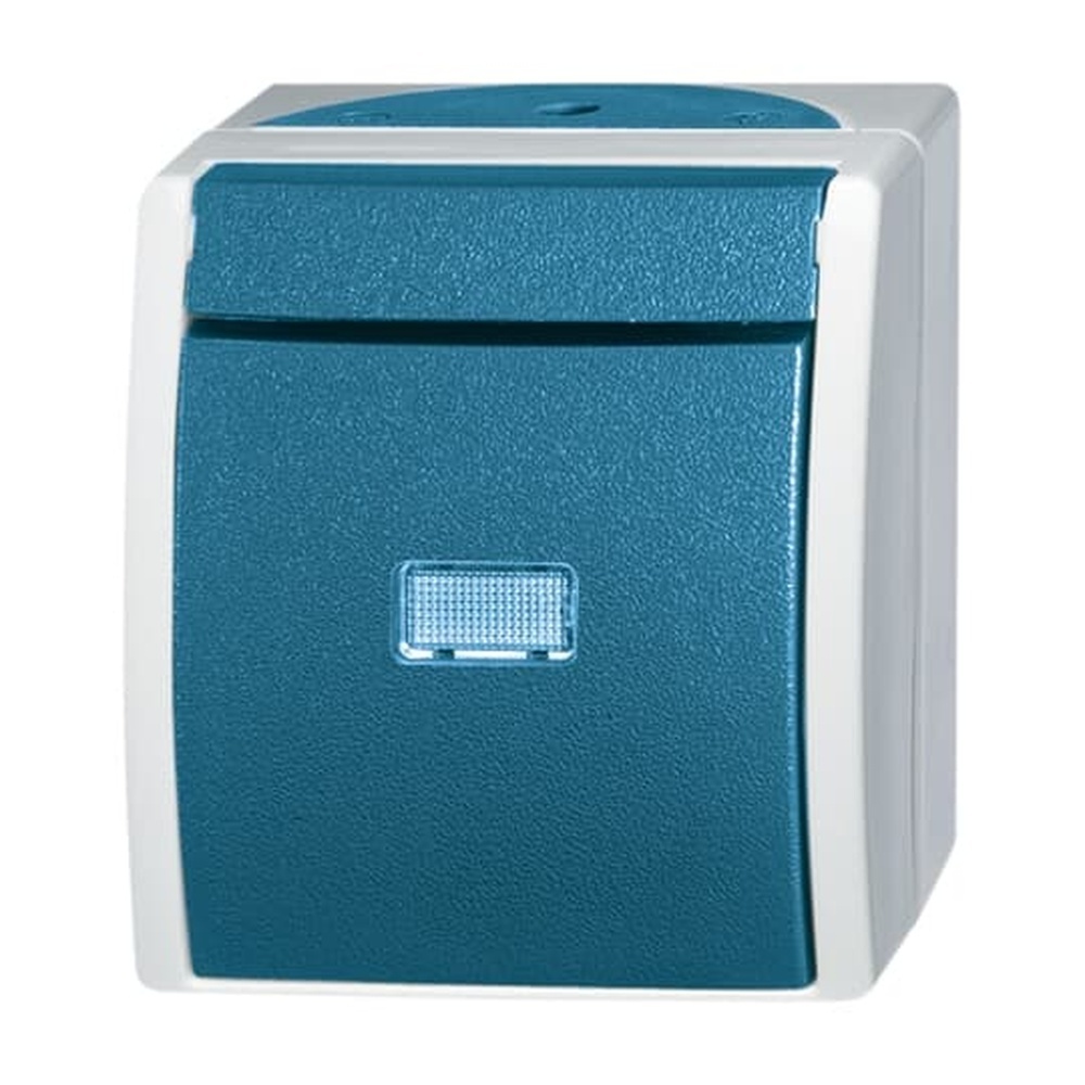 Busch-Jaeger Wippschalter 2601/6 WGL-53 Nr. 2CKA001085A1613