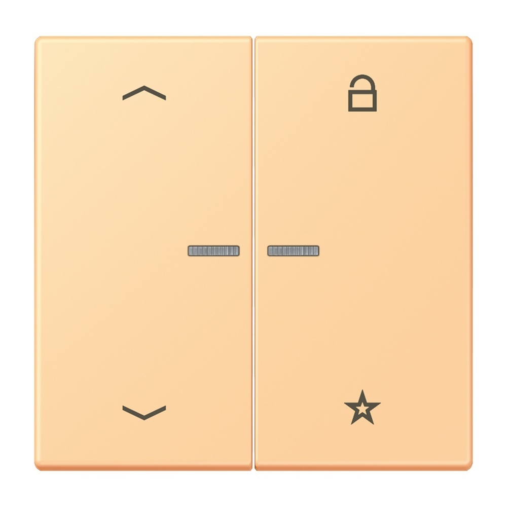 Jung Taster FMLC1701P258