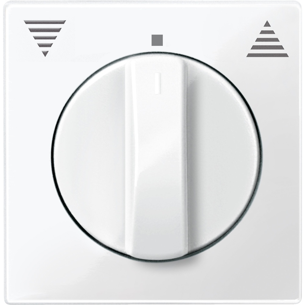 Merten Zentralplatte 567119