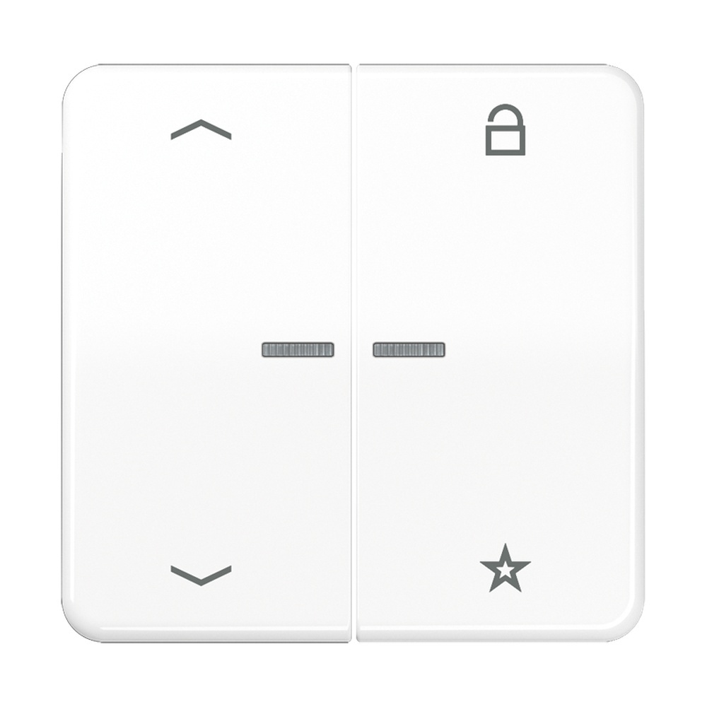 Jung eNet Funk Steuertaste FMCD1701PWW