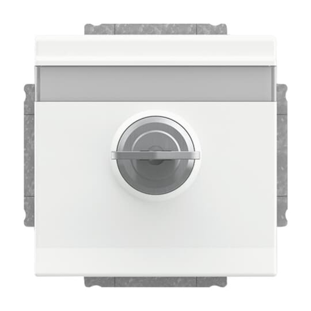 Busch-Jaeger SCHUKO Steckdosen Einsatz 20 EUKNBSL-884 Nr. 2CKA002018A1565