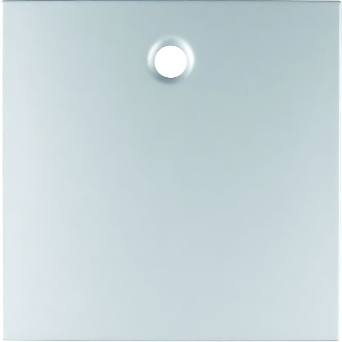 Berker Zentralstück 11461404