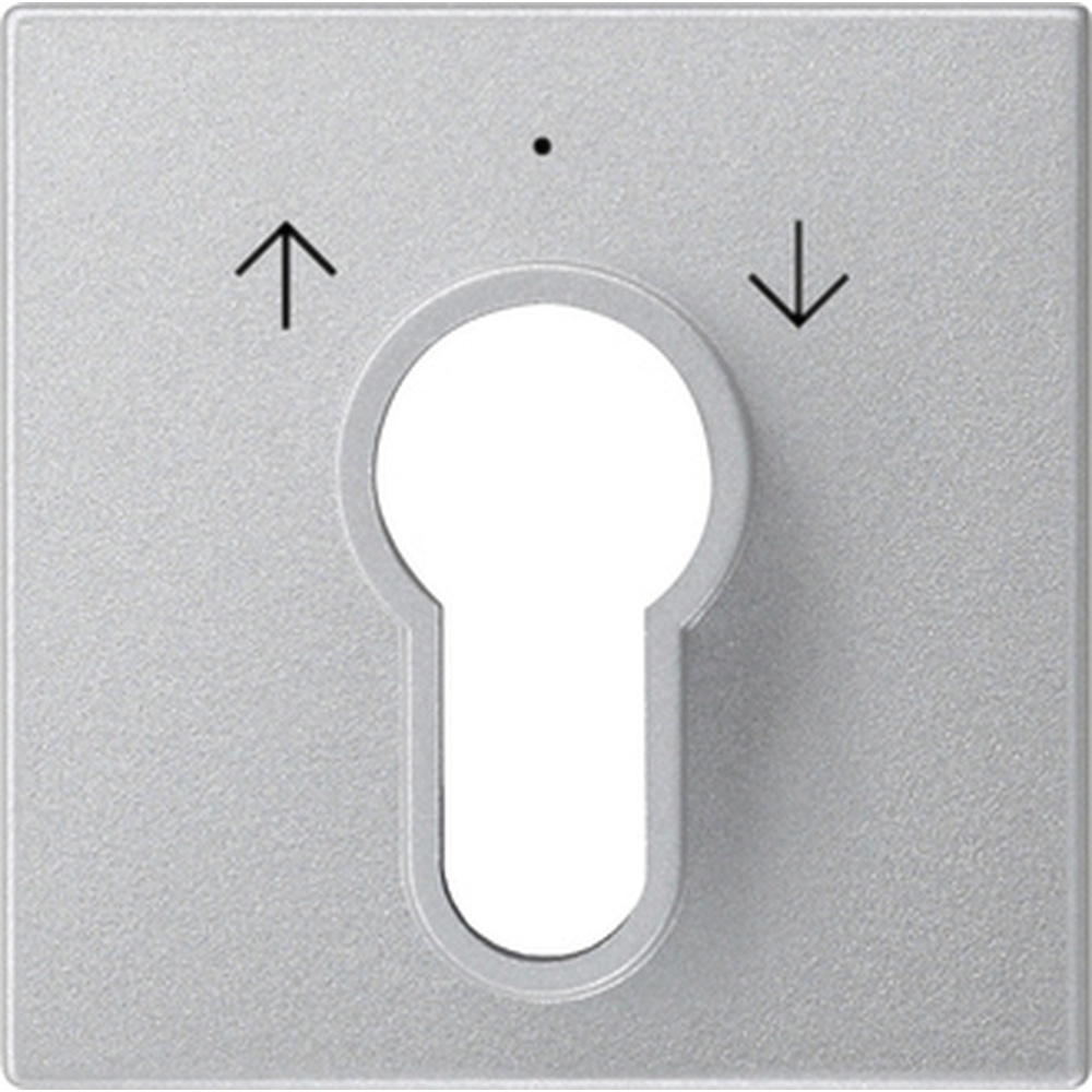 Gira Abdeckung Schlüsselschalter 066426