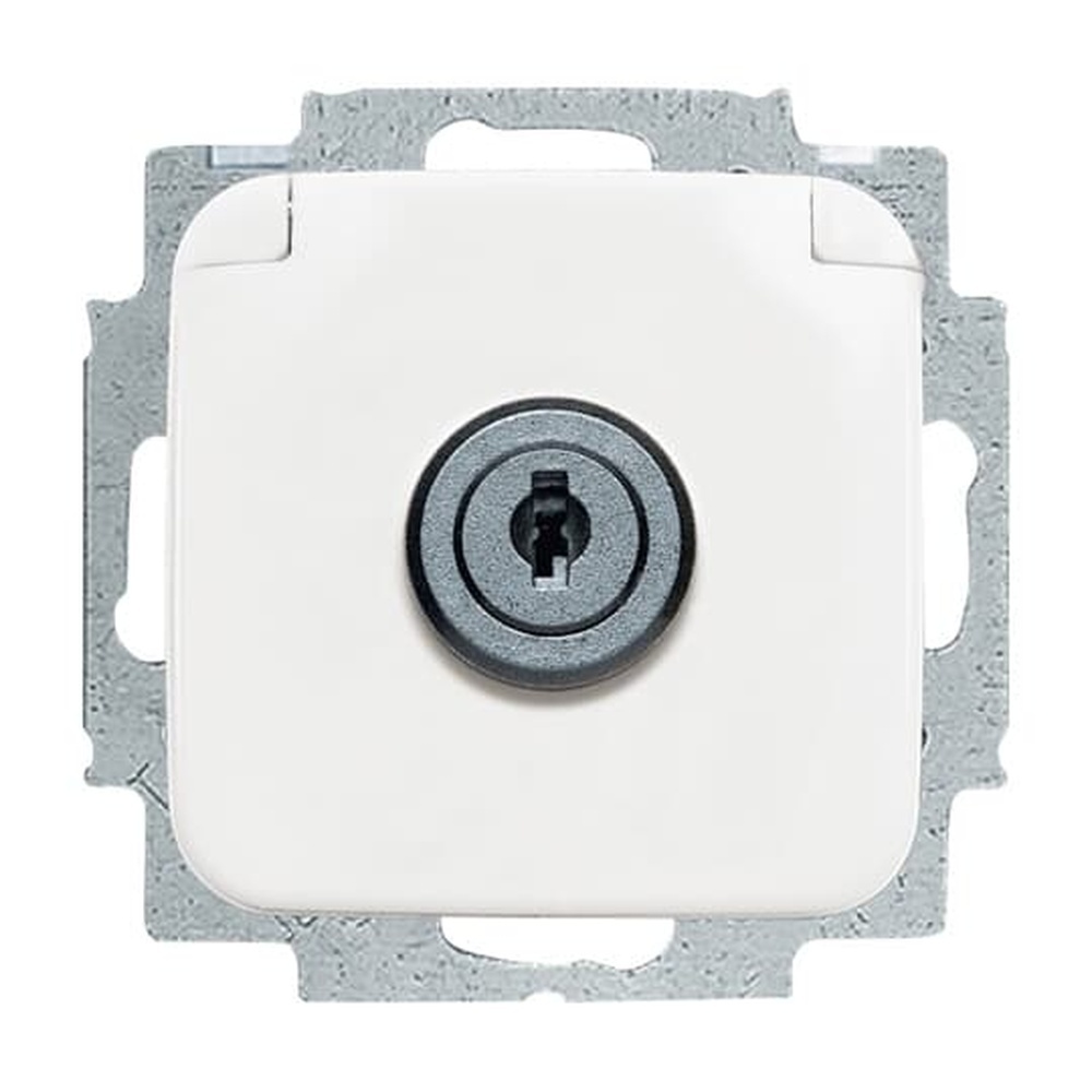 Busch-Jaeger SCHUKO Steckdosen Einsatz 20 EUKSL-214-101 Nr. 2CKA002018A1479