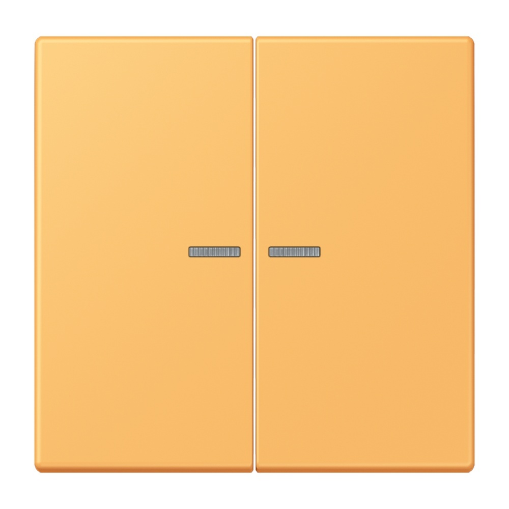 Jung Wippe mit Lichtleiter für Taster 2fach LC102KO5254