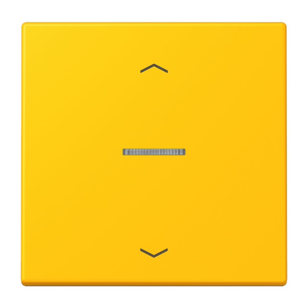 Jung Wippe mit Lichtleiter LC101KO5P263